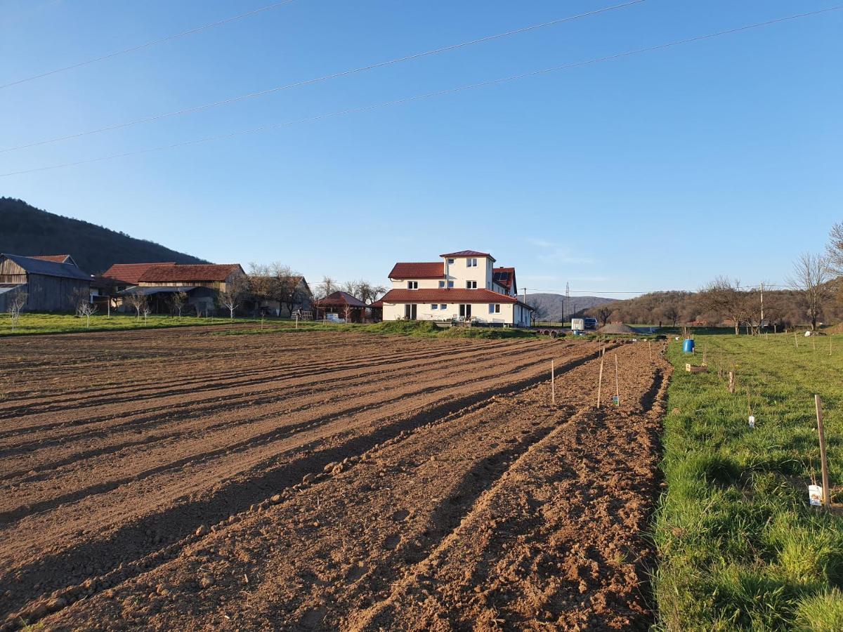 Apartmani Fenestra Tesla I Faust Otocsán Kültér fotó